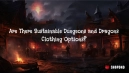Are There Sustainable Dungeons and Dragons Clothing Options?